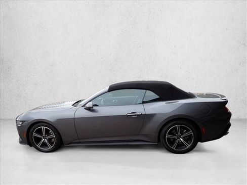 Used 2024 Ford Mustang Premium image 2