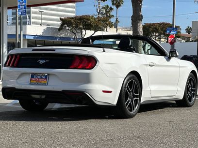 Used 2019 Ford Mustang Premium