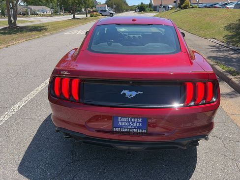 Used 2019 Ford Mustang Coupe RWD image 3