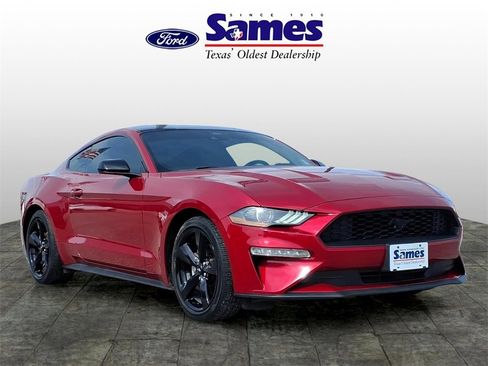 Used 2023 Ford Mustang Coupe w/ Equipment Group 101A image 1