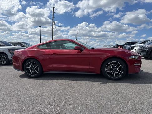 Used 2020 Ford Mustang Premium w/ Equipment Group 201A image 1