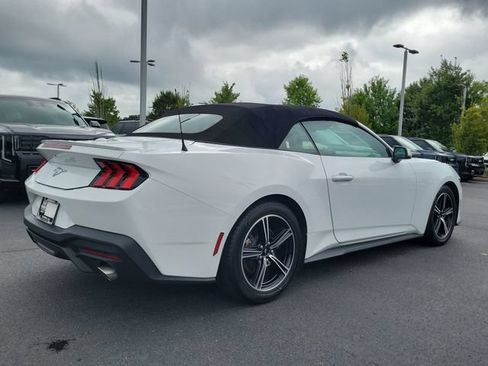 Used 2024 Ford Mustang Premium RWD image 4