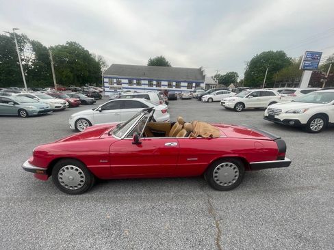 Used 1990 Alfa Romeo Spider Graduate RWD image 6