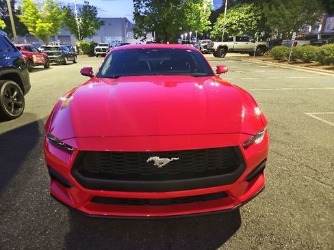 Used 2025 Ford Mustang Premium RWD image 2
