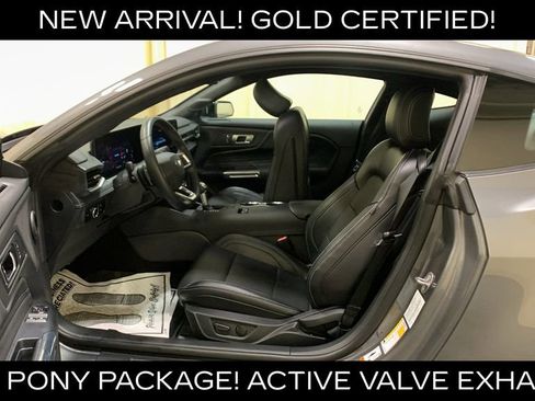 Certified 2025 Ford Mustang GT Premium w/ Mustang Nite Pony Package RWD image 22