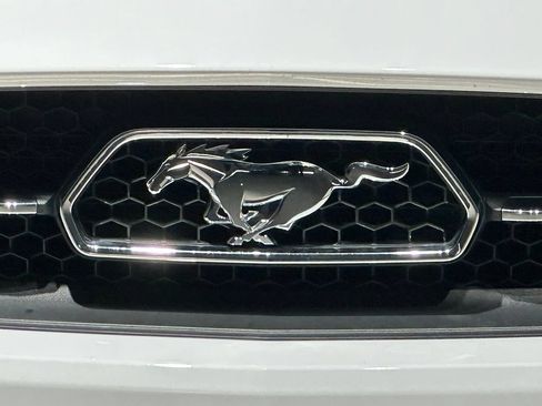 Used 2015 Ford Mustang Premium w/ Equipment Group 201A RWD image 7