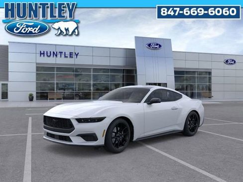 New 2025 Ford Mustang Premium w/ Mustang Nite Pony Package image 1