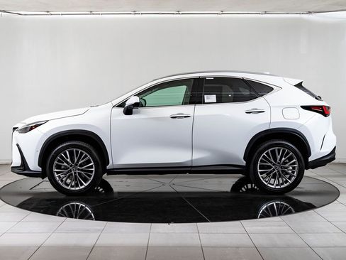 New 2026 Lexus NX 350 AWD w/ Luxury Package image 5