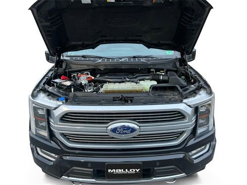Used 2021 Ford F150 Limited image 20