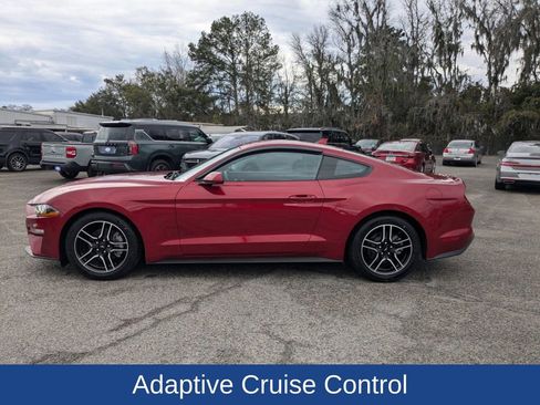 Certified 2021 Ford Mustang EcoBoost w/ Equipment Group 101A image 8