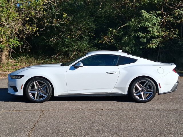 Used 2024 Ford Mustang Premium RWD image 2