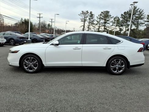 Used 2024 Honda Accord EX image 14