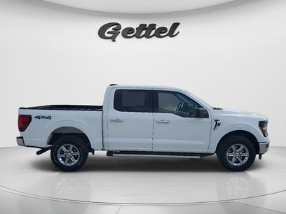 Used 2025 Ford F150 XLT w/ Equipment Group 301A Standard