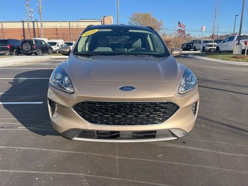 Used 2020 Ford Escape SE image 2