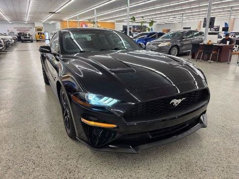 Used 2019 Ford Mustang Coupe w/ Equipment Group 101A RWD image 4