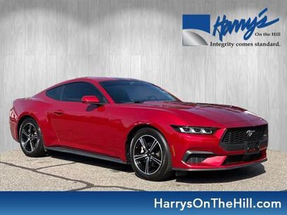 Used 2024 Ford Mustang Premium