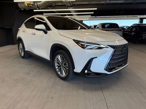 Used 2025 Lexus NX 350h AWD w/ Cold Area Package image 6