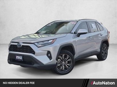 Used 2024 Toyota RAV4 XLE Premium