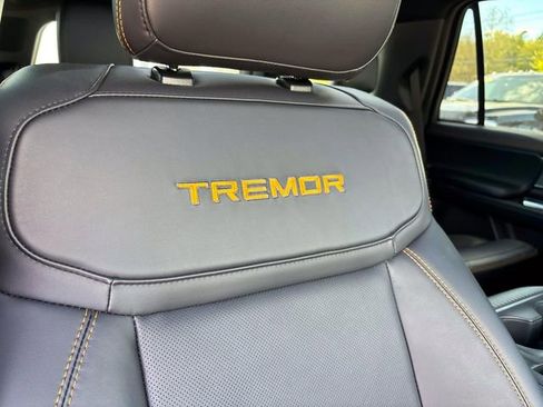 Used 2025 Ford Expedition Tremor AWD/4WD image 21