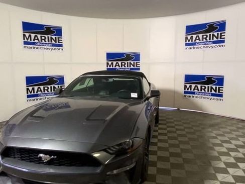 Used 2020 Ford Mustang Premium RWD image 5