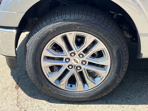 New 2025 Ford F150 XLT w/ Equipment Group 303A High image 9