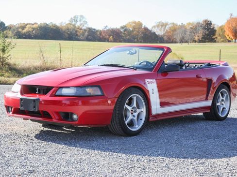 Used 1999 Ford Mustang Cobra RWD image 5