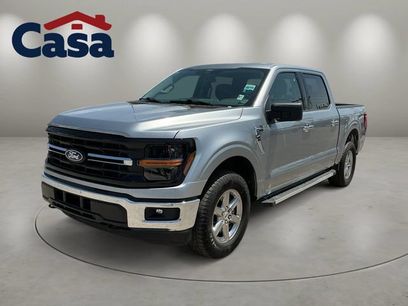 Used 2025 Ford F150 XLT w/ Equipment Group 301A Standard