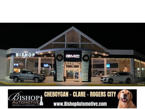 Used 2019 Chevrolet Silverado 1500 LT w/ All-Star Edition image 33