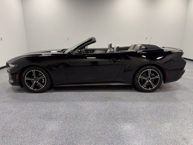 Used 2024 Ford Mustang Premium RWD image 6