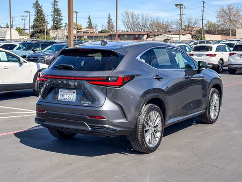 Certified 2025 Lexus NX 350h AWD w/ Cold Area Package image 4