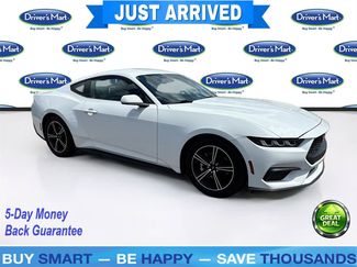 Used 2024 Ford Mustang Premium RWD video 1