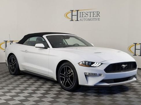 Used 2023 Ford Mustang Premium image 2