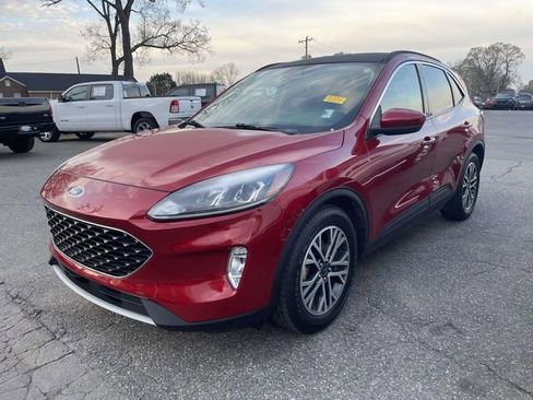 Certified 2020 Ford Escape SEL image 3