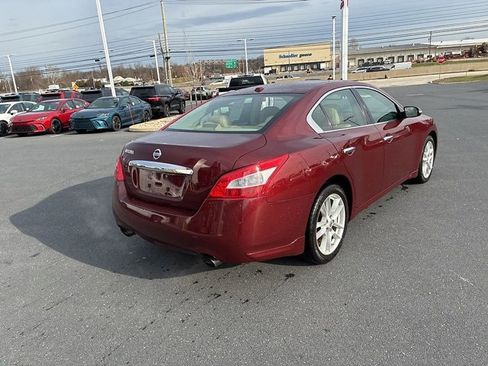 Used 2010 Nissan Maxima 3.5 SV w/ Cold Pkg image 8