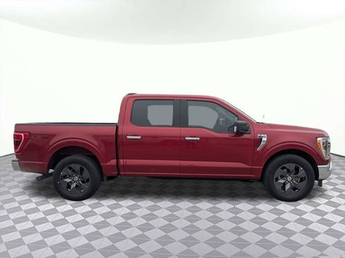 Used 2021 Ford F150 XLT w/ Equipment Group 302A High image 2