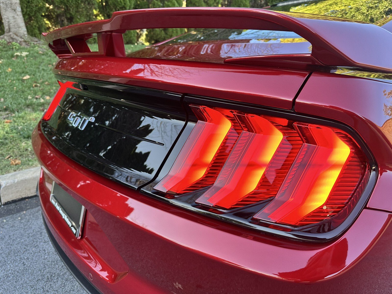 Used 2019 Ford Mustang GT Premium w/ GT Performance Package RWD image 52