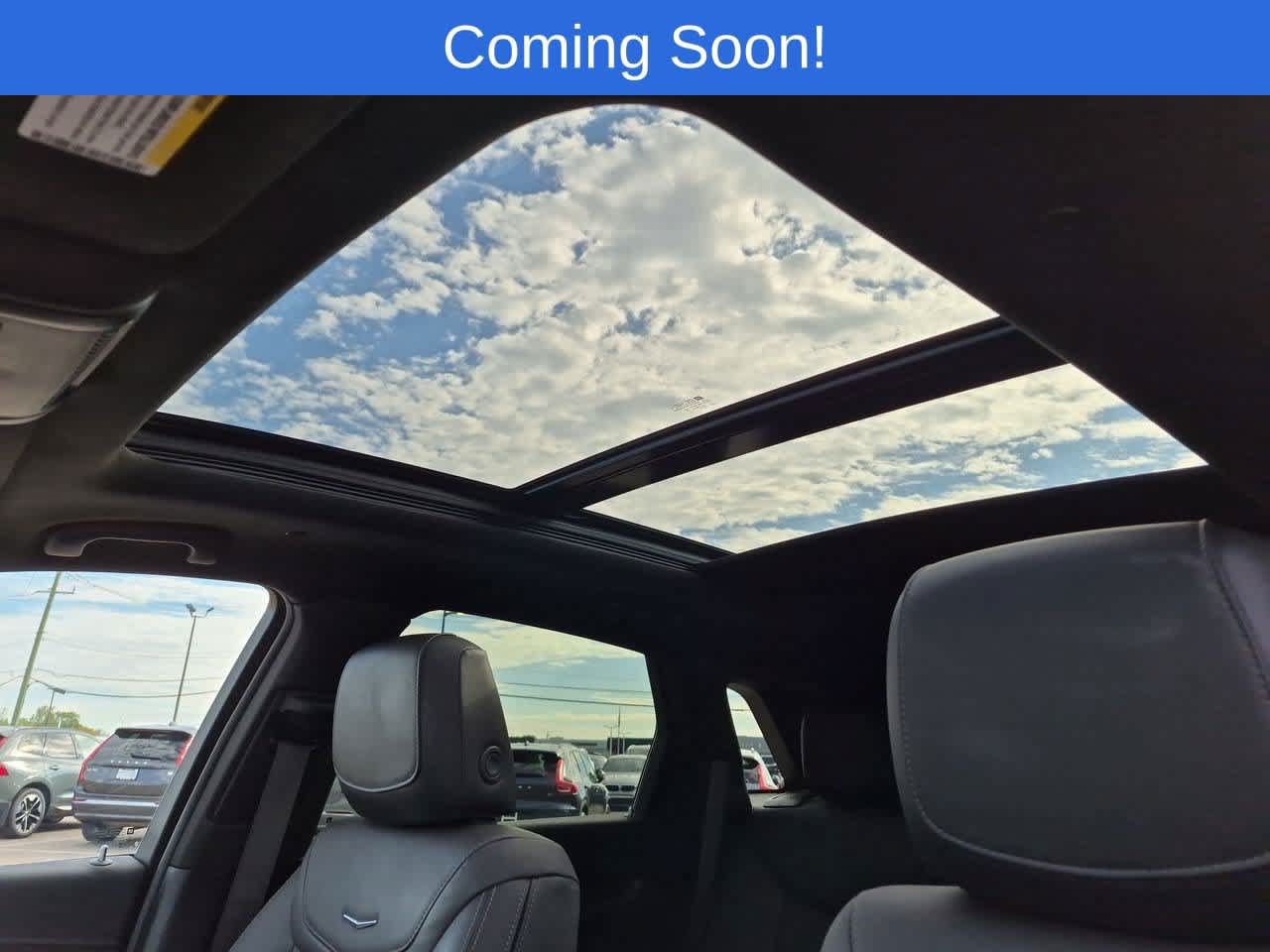 Used 2024 Cadillac XT5 Premium Luxury AWD/4WD image 19