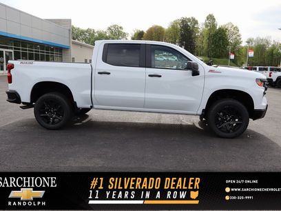 New 2025 Chevrolet Silverado 1500 Custom Trail Boss w/ Turbomax Blackout Package