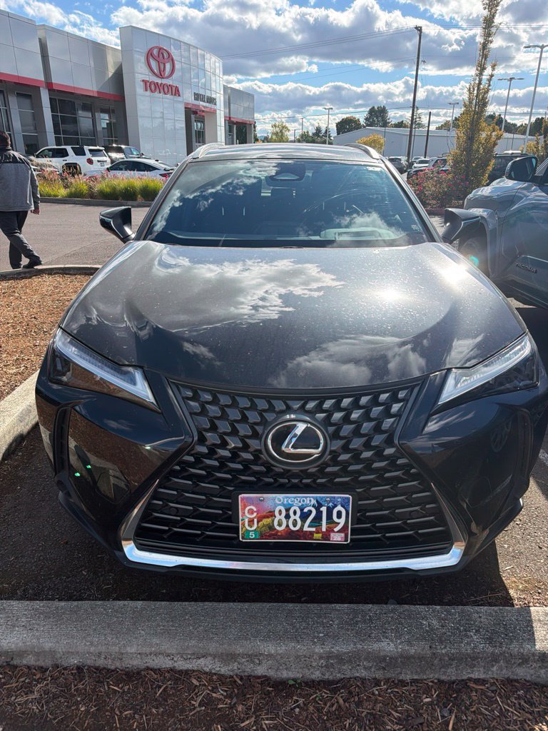 Used 2025 Lexus UX 300h AWD w/ Cold Area Package image 1