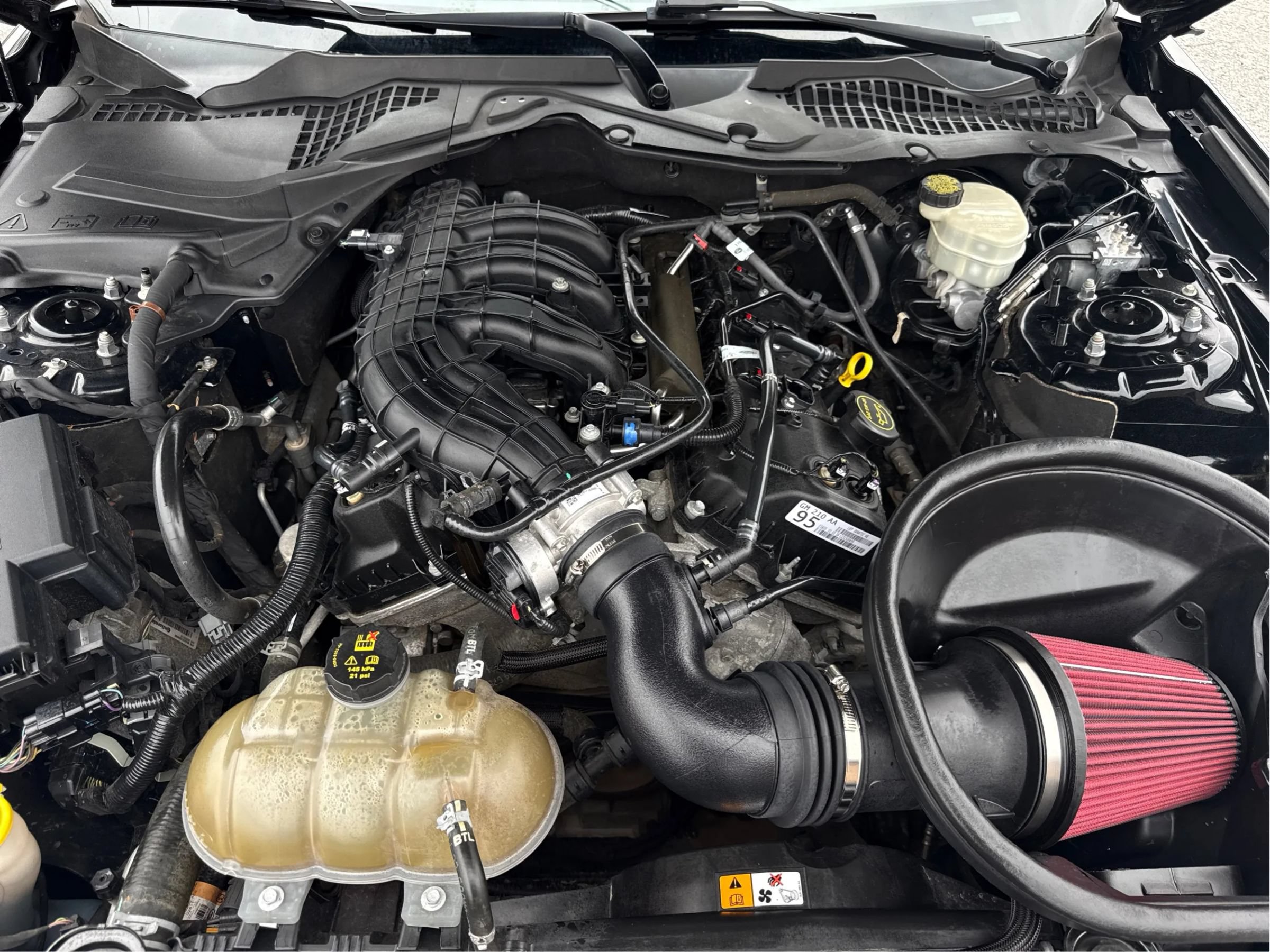 Used 2016 Ford Mustang Coupe RWD image 9