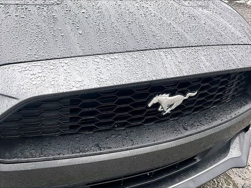 Used 2018 Ford Mustang Premium image 25