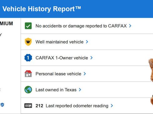 Used 2025 Lexus NX 350 Premium AWD image 6