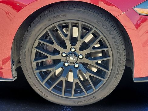 Used 2019 Ford Mustang GT Premium w/ GT Performance Package RWD image 7