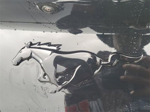 New 2026 Ford Mustang Coupe w/ Mustang Nite Pony Package image 5