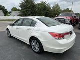Used 2011 Honda Accord EX-L image 5