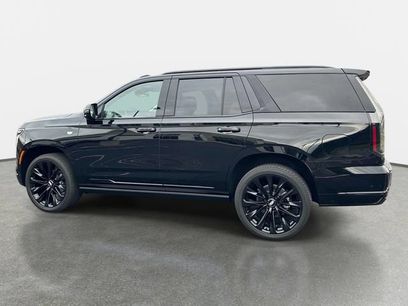New 2026 Cadillac Escalade Platinum Sport w/ LPO, ONYX Package