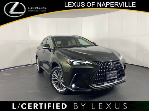 Used 2025 Lexus NX 350h AWD w/ Cold Area Package image 1