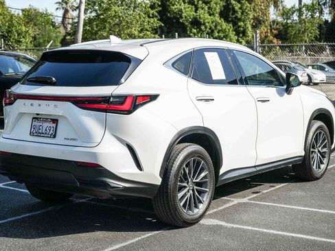 Used 2025 Lexus NX 250 FWD w/ Accessory Package (Z1) image 6