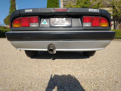 Used 1986 Alfa Romeo Spider Veloce image 45