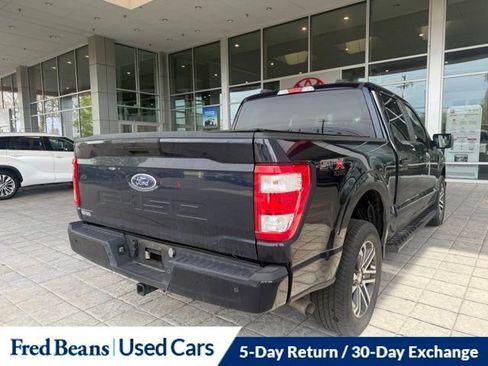 Used 2023 Ford F150 XL w/ STX Appearance Package AWD/4WD image 3